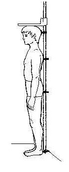 Как стоять при змерении роста
